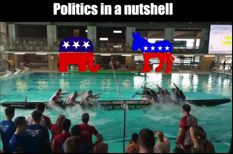 politics GIF