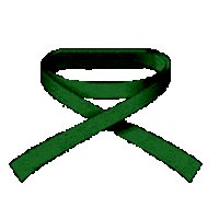 DojoShubukan karate martial arts verde dojo Sticker