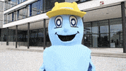 rheiner rhenus GIF