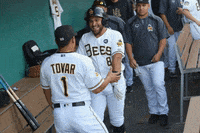 SaltLakeBees team hug family bee GIF