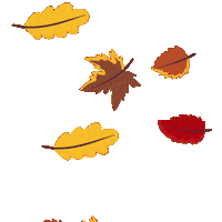 vgn_freizeit natur herbst wandern vgn Sticker