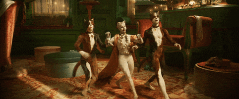 CatsMovie giphyupload dance dancing hello GIF