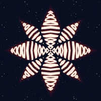 GIF by MIDgraph