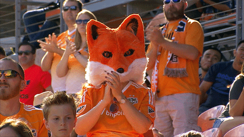 GIF by Houston Dynamo