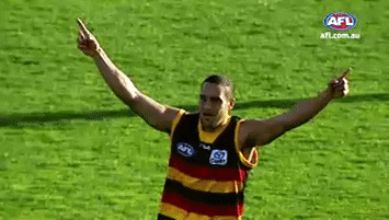 andrew mcleod adelaide GIF by AFL
