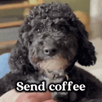 Tired Coffee First GIF