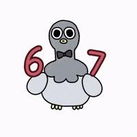 Bird Coco GIF