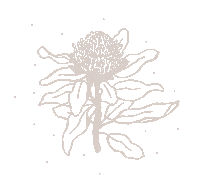 diegoueuur flower australia victoria minimalist Sticker