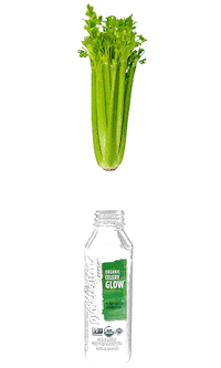 EvolutionFresh drink glow healthy fresh Sticker