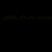 BrandBurp love happy fun family GIF