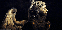 doctor who spn GIF