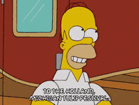 homer simpson episode 13 GIF
