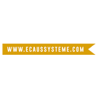 Ecaussysteme music festival france lot Sticker