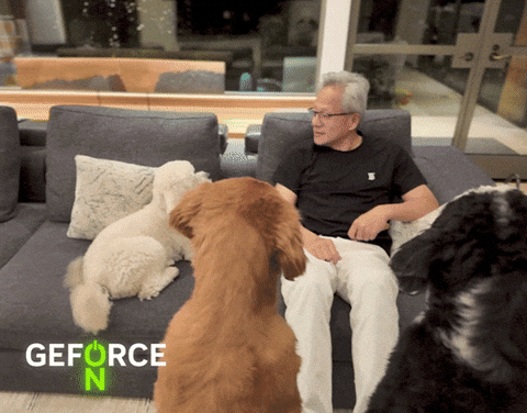 Dog GIF by NVIDIA GeForce