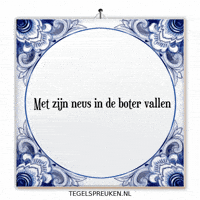 Humor Nl GIF by Tegelspreuken.nl
