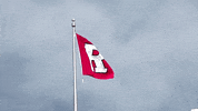Family Flag GIF by Rutgers Football