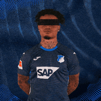 Sport Bundesliga GIF by TSG Hoffenheim