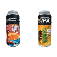 d9brewing beer cheers d9 lakenorman Sticker