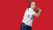 usssapride pride usssa npf usssa pride GIF