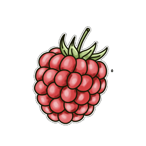 Fruit Hand Drawn Sticker