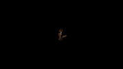 music video ken GIF by Destroyer