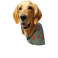 Golden Retriever Dinos Sticker by Geekster Pets