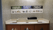 Save The Earth College GIF by University of Wisconsin-Stout