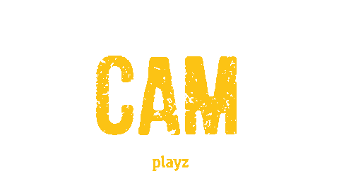 Photo Camera Sticker by Playz