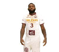 Warren Orleansloiretbasket Sticker by OLB