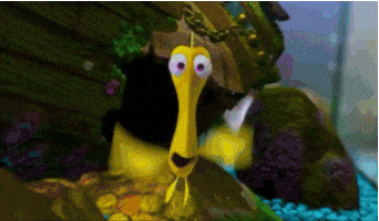 finding nemo disney GIF