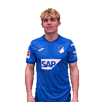 Sport Bundesliga Sticker by TSG Hoffenheim