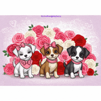 Valentines Day Love GIF