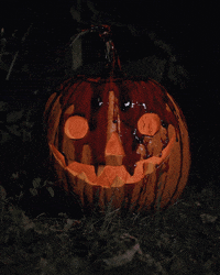 Bleeding Trick Or Treat GIF by Hunter Preston