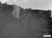 Akira Kurosawa Samurai Movie GIF by Turner Classic Movies