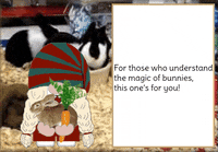 Bunny Rabbit Gnome GIF