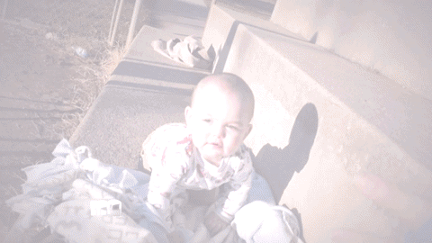 GIF by The Maury Show