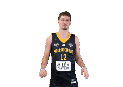 Basket Allard Sticker by Stade Rochelais