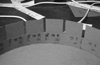 matthias brown zoetrope GIF by TraceLoops