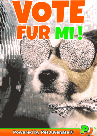 Henlo Hooman Fren GIF by PetJuvenate - PJ