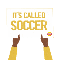 Lays World Cup Sticker by Frito-Lay