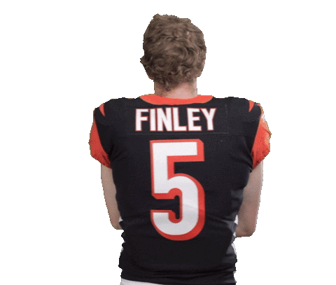 Cincinnati Bengals Football Sticker by NFL