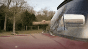 country music horses GIF by Clare Dunn