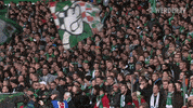 Football Soccer GIF by SV Werder Bremen