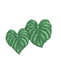 Plant Love Sticker