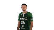 hsgwetzlar handball-bundesliga wetzlar hsg wetzlar weildudasspielliebst Sticker