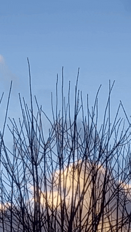 Simongip giphyupload GIF