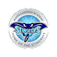Academica Schools Sticker by Academica