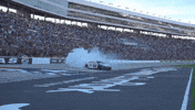 Joey Logano Celebration GIF by NASCAR