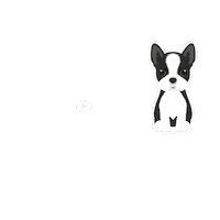 Dog Love Sticker by petinnmexico