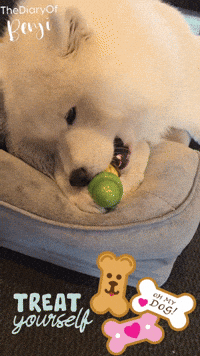 Candy Treat GIF